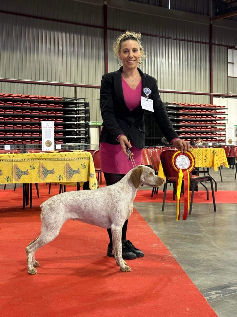 CH. Phoebe de la pierre d'or
