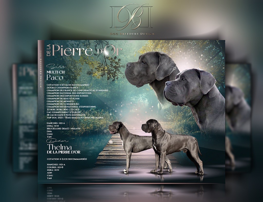 Saillie 2025  naissance prévue le 20 octobre